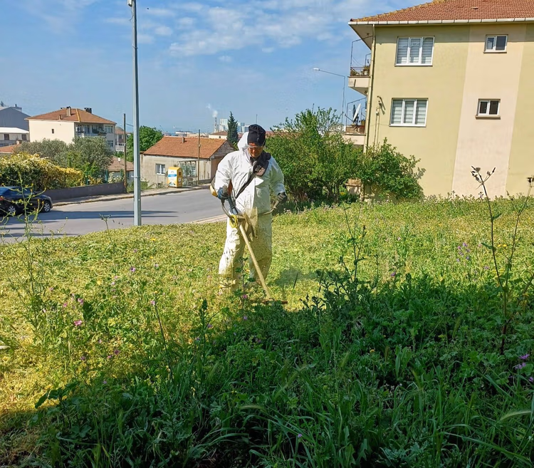 Körfez Belediyesi’nden yabani otlara karşı kararlı mücadele