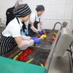 Hollandalı Öğrenciler Türk Mutfağını Kocaeli’de Deneyimledi