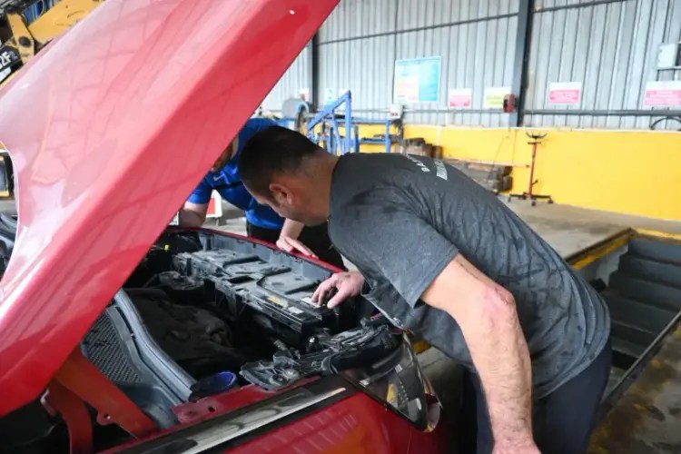Başiskele’de Otomobile Sıkışan Yavru Kedi Belediyeden Kurtarıldı