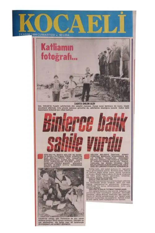 İzmit Körfezi Kocaeli Büyükşehir İle Hayat Buluyor