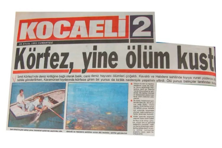 İzmit Körfezi Kocaeli Büyükşehir İle Hayat Buluyor