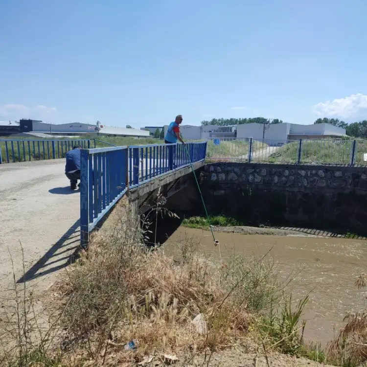 İzmit Körfezi’nde Sular Canlanıyor: Büyükşehir’den Kaliteye Yakın Takip
