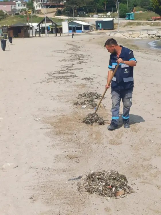 Kocaeli’nin Mavi Bayraklı Plajları Yeni Sezona Hazır