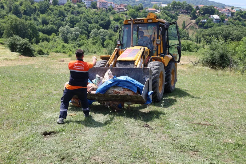 Başiskele’de Kurban Atıkları Anında Toplanıyor