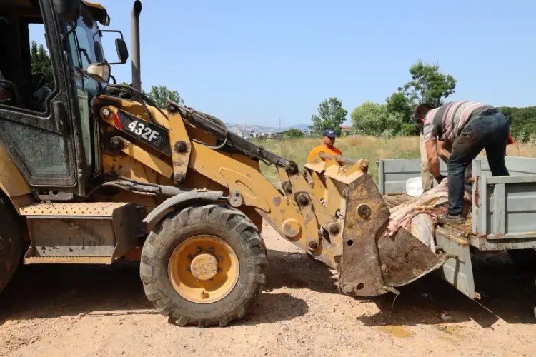 Başiskele’de Kurban Atıkları Anında Toplanıyor