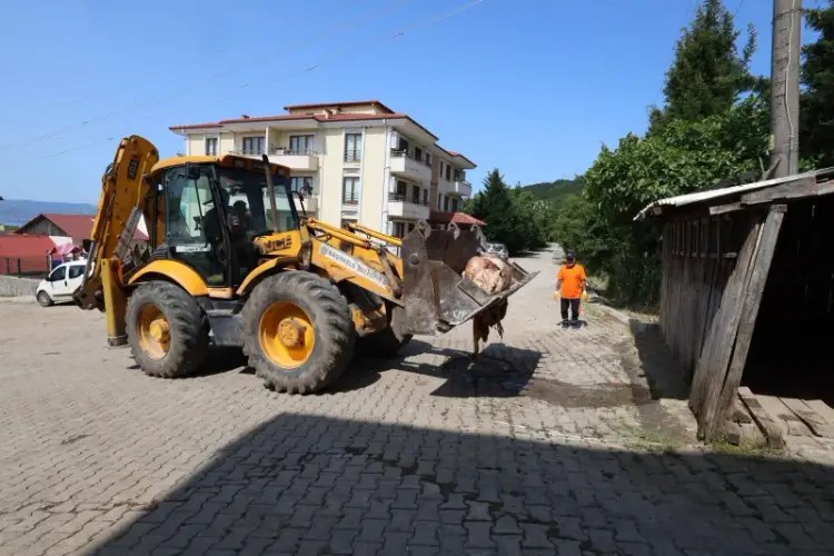 Başiskele’de Kurban Atıkları Anında Toplanıyor