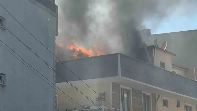 Gebze’de apartmanda panik!