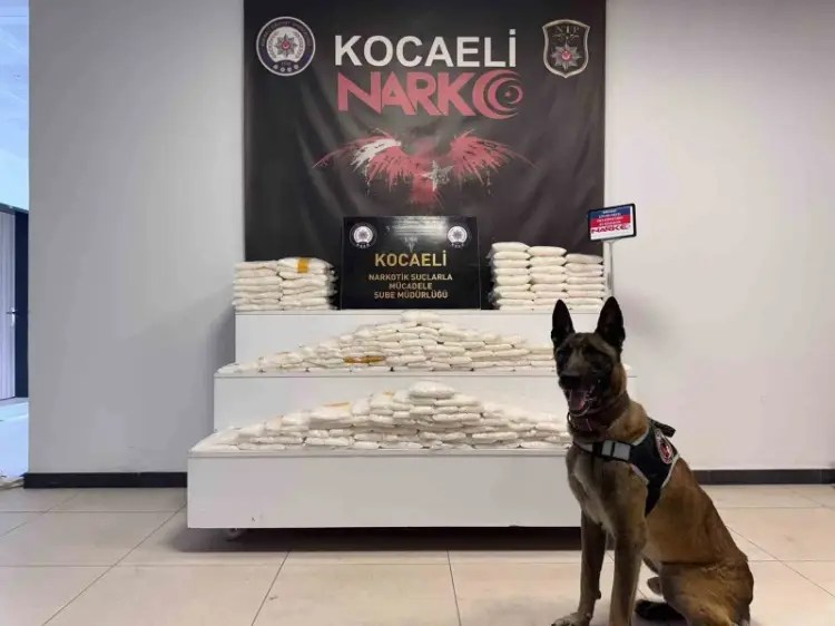 Kocaeli’de Cipte 82 Kilo Uyuşturucu Yakalandı