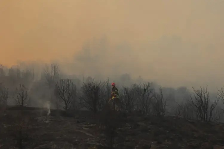 Kocaeli İtfaiyesi’nden Orman Yangınlarına Karşı Hayati Uyarı