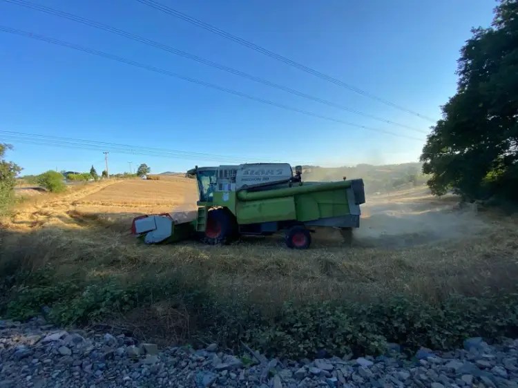 Körfez Belediyesi’nden Tarımda Sürdürülebilirlik Hamlesi: 20 Dönümden 5 Ton Buğday Hasadı