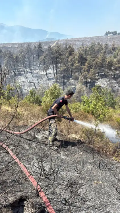 Kocaeli İtfaiyesi Bursa’daki Orman Yangınına Destek İçin Harekete Geçti