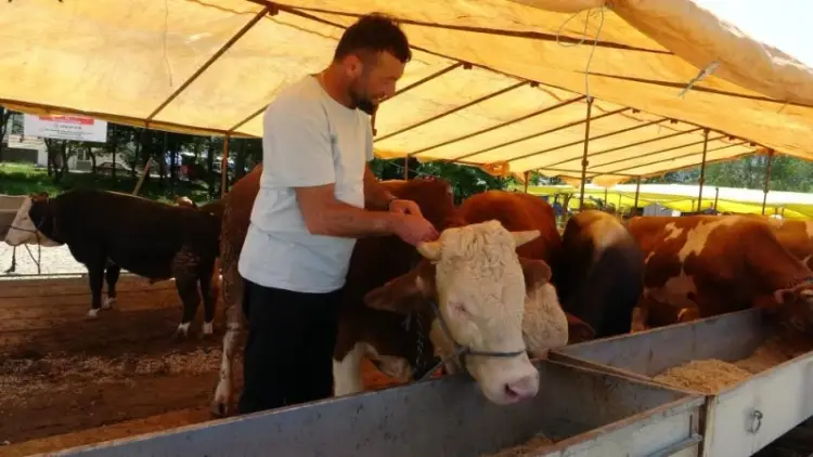 Türkiye’de Tüm Hayvan Pazarları Geçici Olarak Kapatıldı