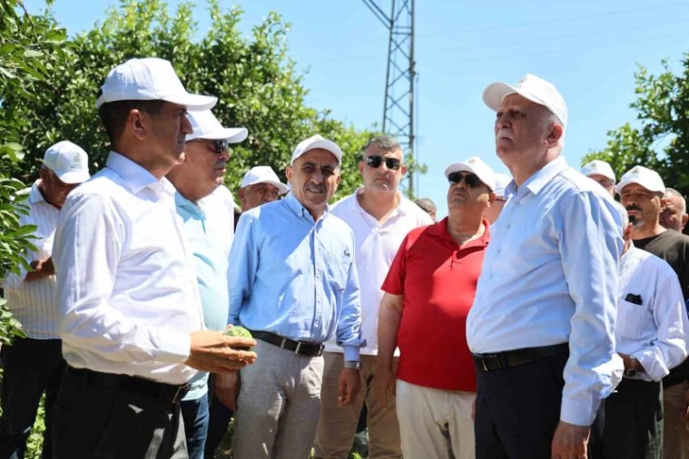 Tarımda Genç Nüfus Azalıyor: Sektörün Geleceği Tehlikede