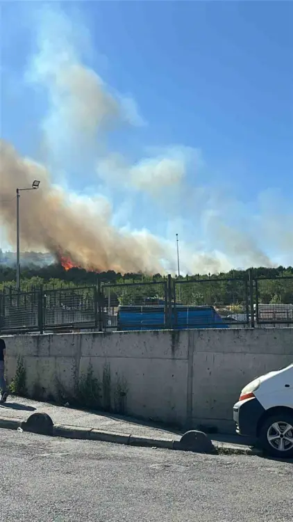 Kocaeli Gebze’de Orman Yangını Paniğe Neden Oldu