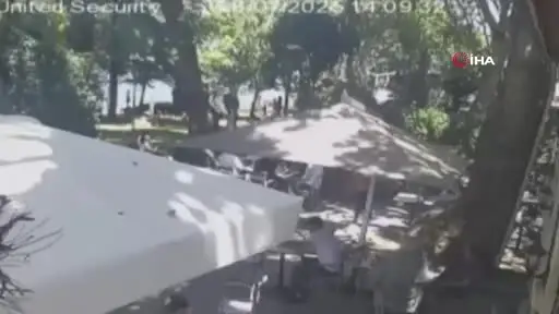 Gölcük’te Çınar Ağacından Kopan Dal Can Aldı: Faciaya Kameralar Tanık Oldu