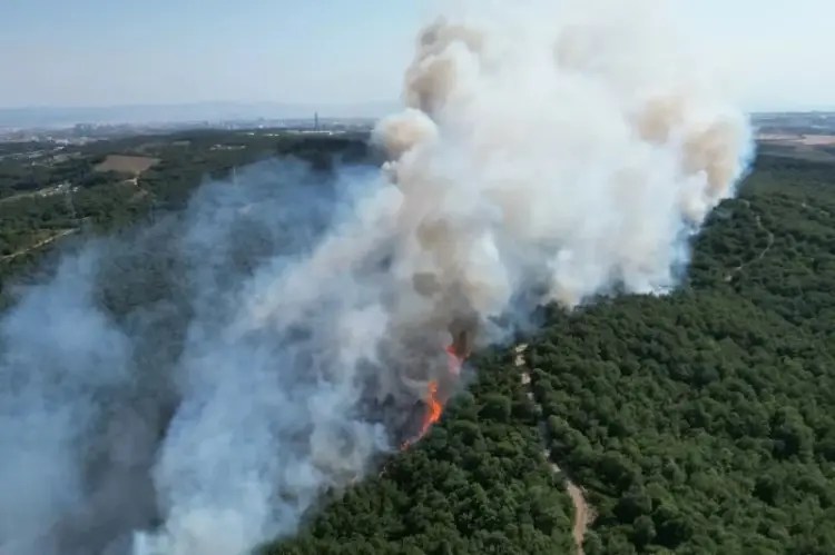 Gebze’de Çıkan Orman Yangını Ekiplerin Müdahalesiyle Kontrol Altına Alındı