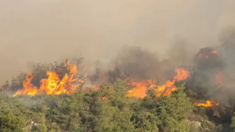 Kocaeli İtfaiyesi’nden Sakarya Geyve’deki Orman Yangınına Destek