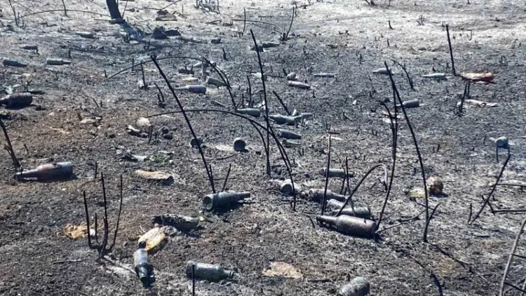 Kartepe’deki Yangının Ardından Çevreyi Kirleten Görüntüler Ortaya Çıktı