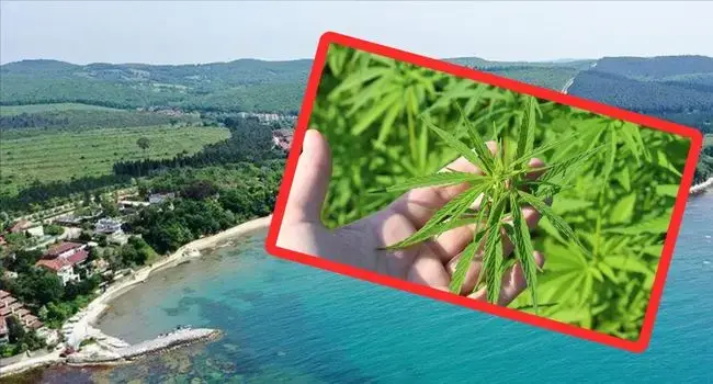 Kenevir işi tamam! Şimdi görev kentimizin siyasetçilerinde
