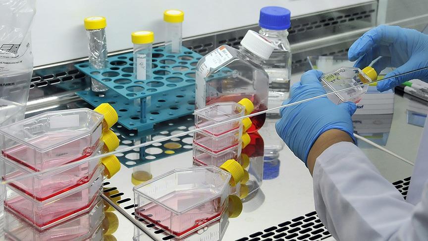 Kocaeli’de dev yatırım! Onay çıktı, 4 Milyon kilogram!