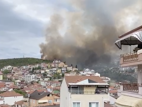 Son dakika! İzmit Kuruçeşme’de orman yangını başladı!