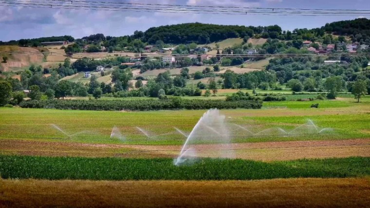 Kandıra’da Tarımsal Verim Büyükşehir’in Desteğiyle Altıya Katlandı