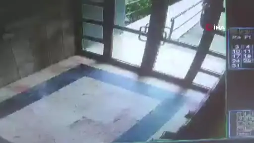 Kediyi vahşice katleden psikopat tutuklandı,