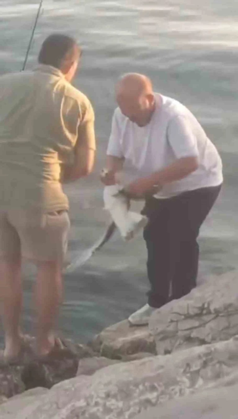 Kocaeli’de şok eden görüntü! Balığı beklerken…