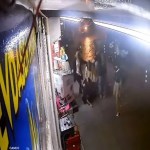 Bursa’da Yol Ortasında Kavga: Kadın Tekmesiyle Olay Büyüdü