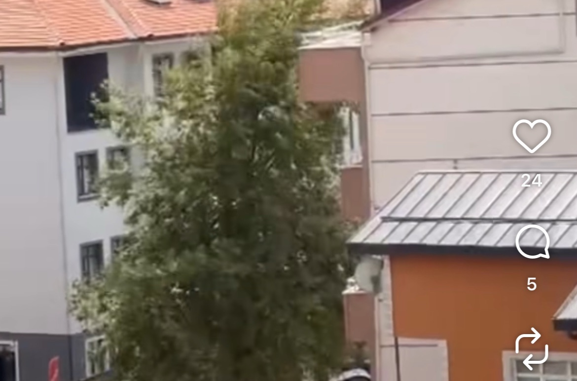 Kandıra Orman Müdürlüğünün önümdeki ağaç Kandıra Belediyesi’nin kepçesiyle yıkıldı
