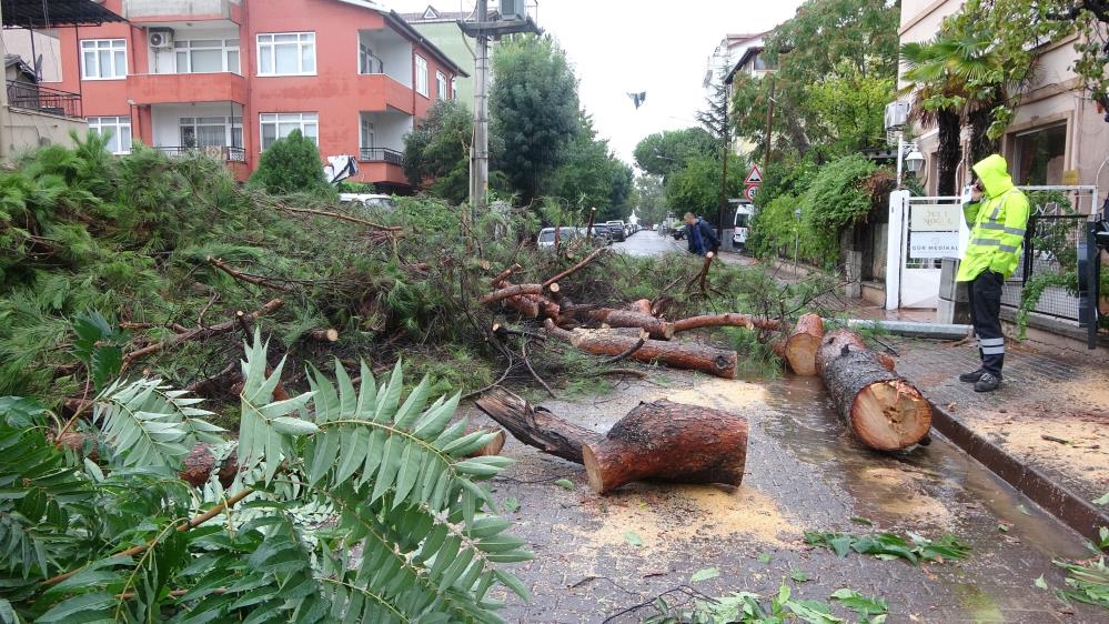 Kocaeli’de sağanak etkili oldu: yıldırım çatıya düştü, ağaç devrildi