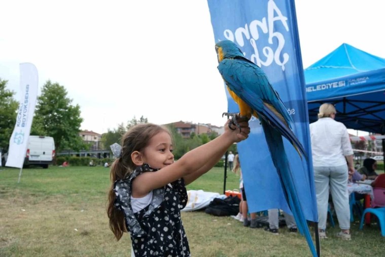 Kocaeli’de 35 Bin Çocuk Yaz Boyunca Oyun, Spor, Bilim ve Sanatla Buluştu
