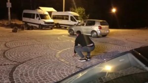 Uludağ’da vahşi yaşamın gece yarısı sürprizi