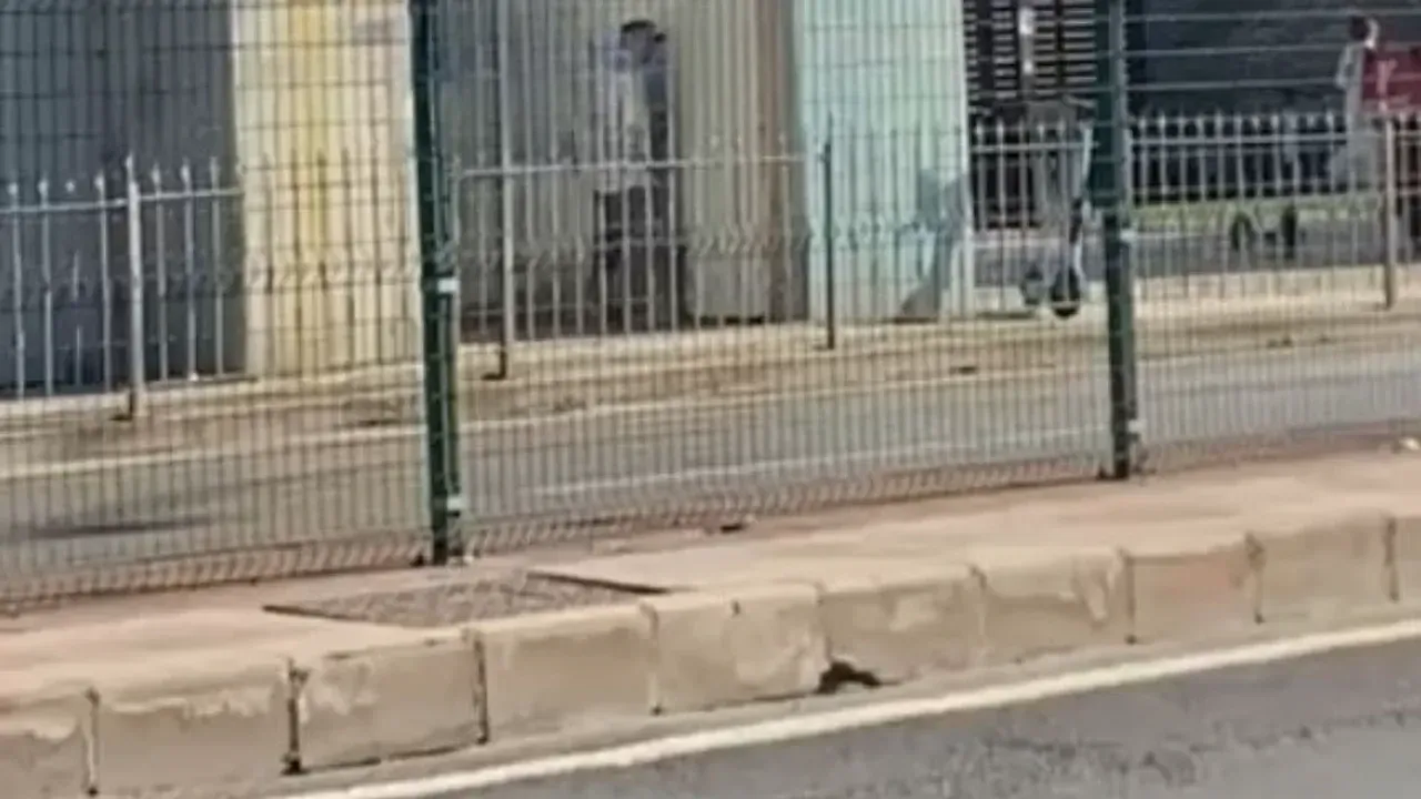 İzmit’te pes dedirten görüntü: Köprü altında ulu orta yaptı