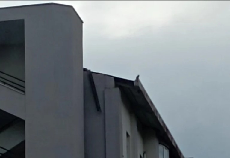 İzmit’te okul bahçesinde tehlike!