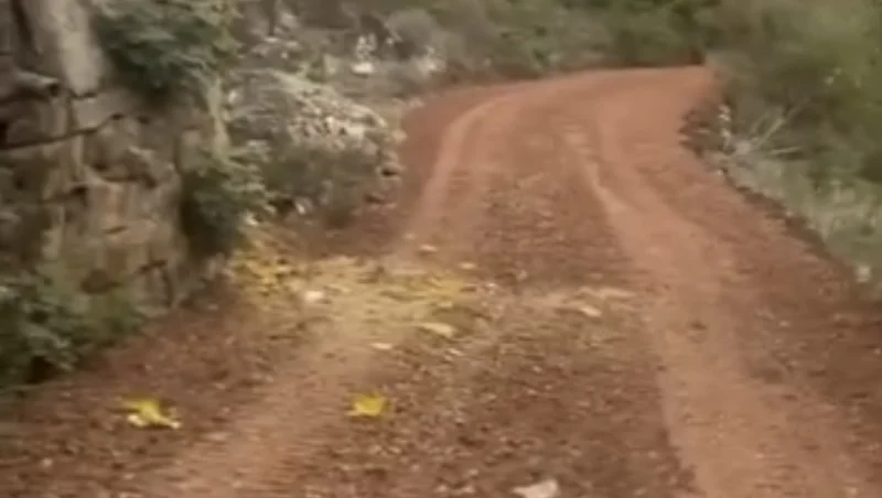 İzmit Gökçeviran’da Yol Kirliliği!