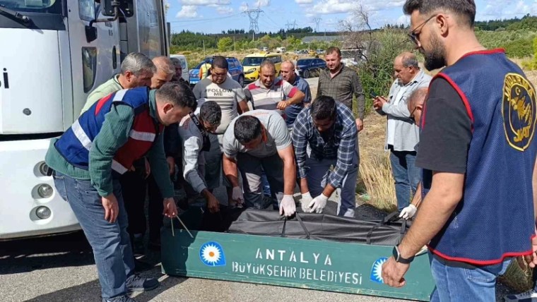 Çöp Kamyonunda Yaşanan Kanlı Tartışma: Cinayet Zanlısı Teslim Oldu