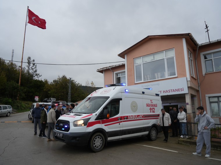 Mantar toplarken ayı saldırdı!
