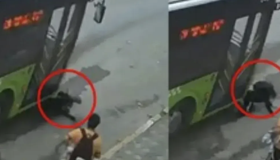 Darıca’da Dehşet Anları: Çocuk Ölümden Saniyelerle Kurtuldu