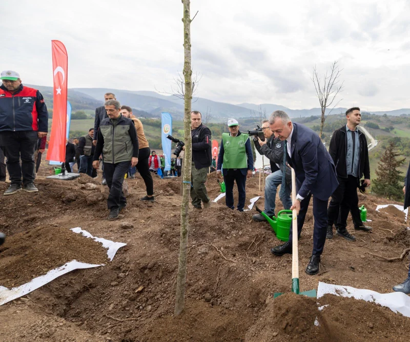 Karamürsel’de Yanan Bölge 3 Bin Fidanla Yeşerecek!