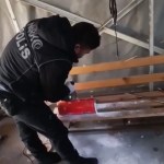 Ağrı'da Otobüs Bagajında Gizlenmiş Skunk Ele Geçirildi