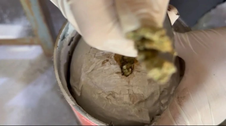 Ağrı'da Otobüs Bagajında Gizlenmiş Skunk Ele Geçirildi