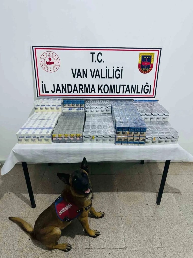Van'da Kaçak Sigara Operasyonu: 3 Bin 75 Paket Ele Geçirildi