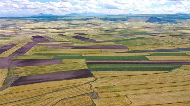Gölcük’te 10 milyonluk arsa icradan satışa çıkıyor