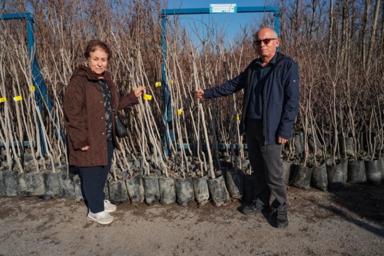 Kocaeli’de Fidan Desteği Meyvelerini Verecek!