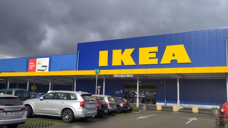IKEA’dan Baltık Ülkelerine Orman Hamlesi