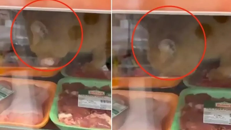 Beylikdüzü’nde Zincir Markette Şok Görüntüler!