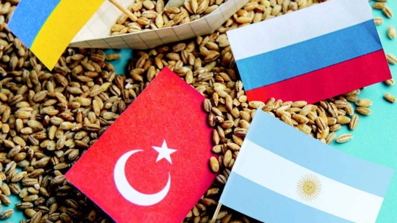Latin Rüzgarı, Karadeniz Buğdayını Zorluyor