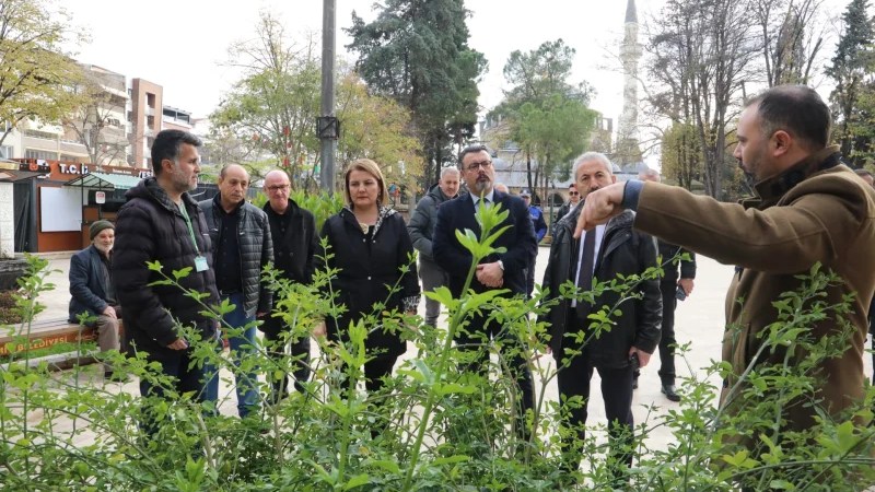 İzmit’te Yeni Cuma Parkı botanik bahçesine dönüşüyor!
