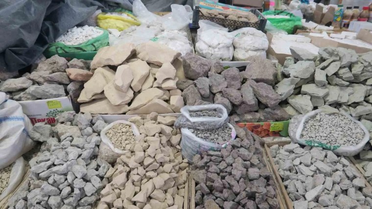 Kırgızistan'da Vitamin ve Mineral Kaynağı: Gulboto